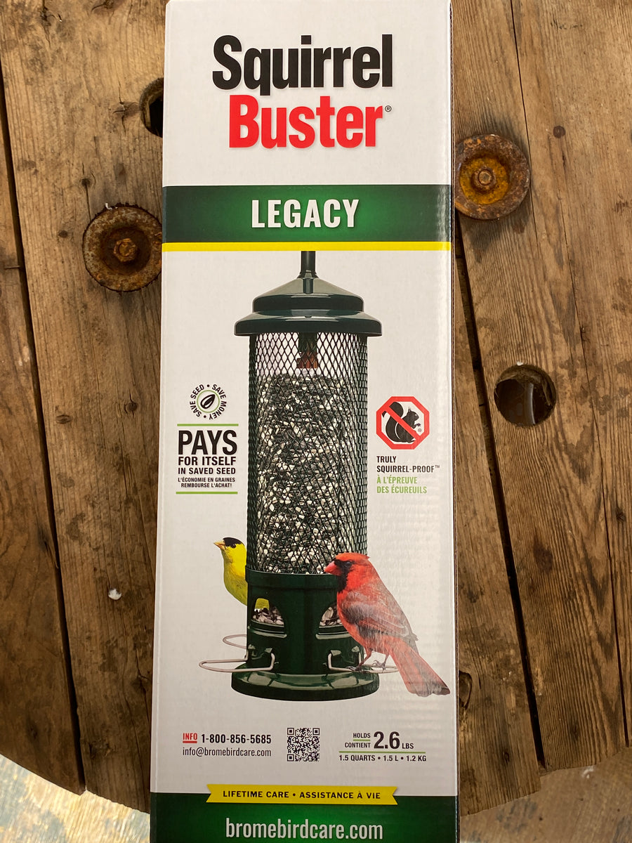 Squirrel Buster Legacy Wilder & Rain Flowers