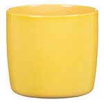 Solido Yellow 5”