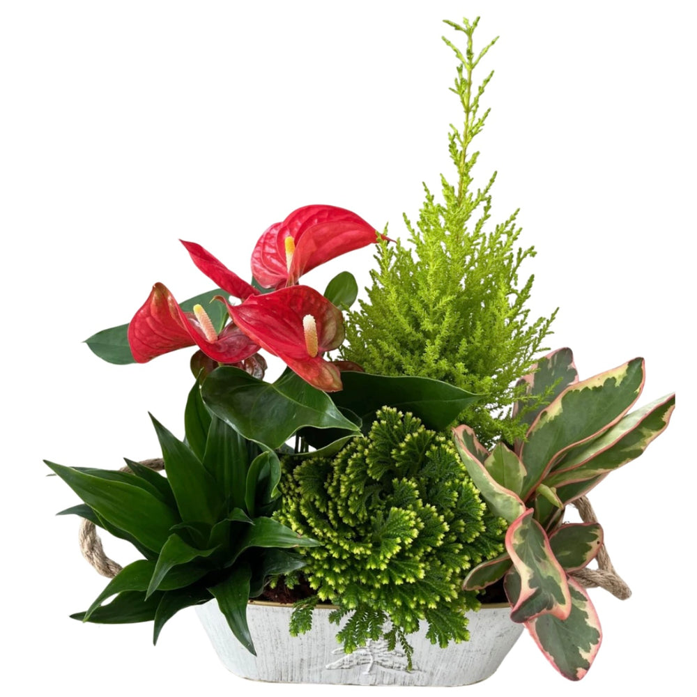 Christmas Tree Oval Tin Planter