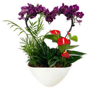 
            
                Load image into Gallery viewer, Valentine&amp;#39;s Heart Orchid  Planter
            
        