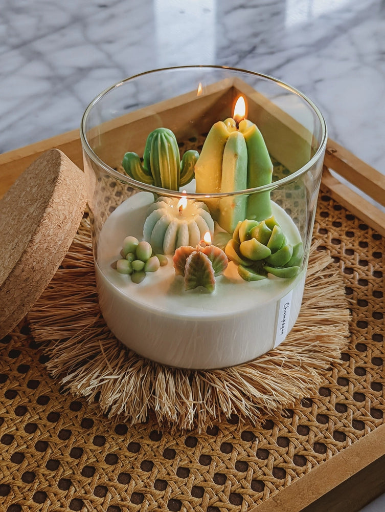 Large 3-wick Terrarium Candle | Soy Blend