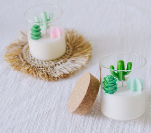 Cactus and Succulent Candle | Soy Blend