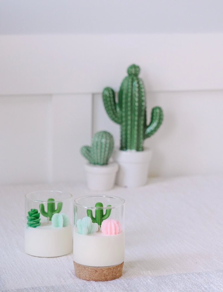 Cactus and Succulent Candle | Soy Blend