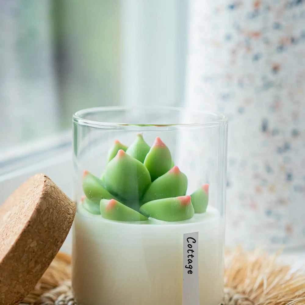 Succulent Soy Candle | Soy Blend