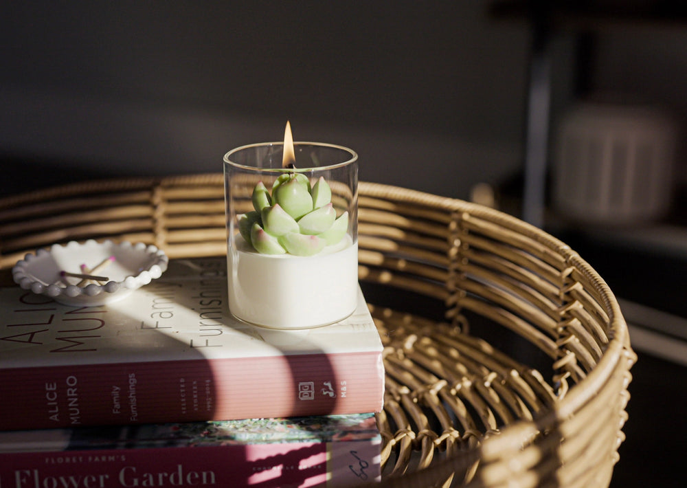 Succulent Soy Candle | Soy Blend