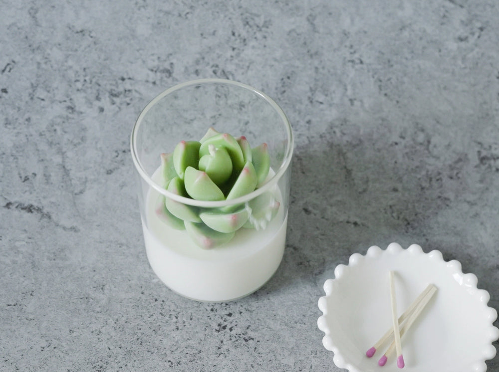 Succulent Soy Candle | Soy Blend