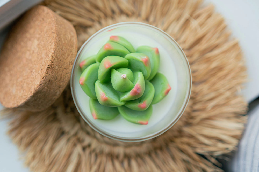 Succulent Soy Candle | Soy Blend