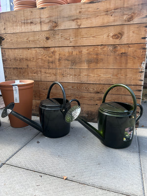 Metal Watering Can
