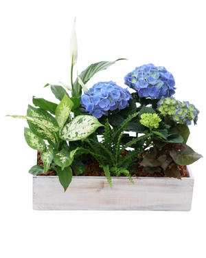 Hydrangea Mix White Wash Rectangle Box