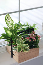 Mother’s Day Wooden Tropical Basket
