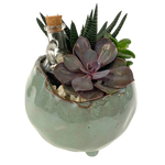 Round Succulent Planter