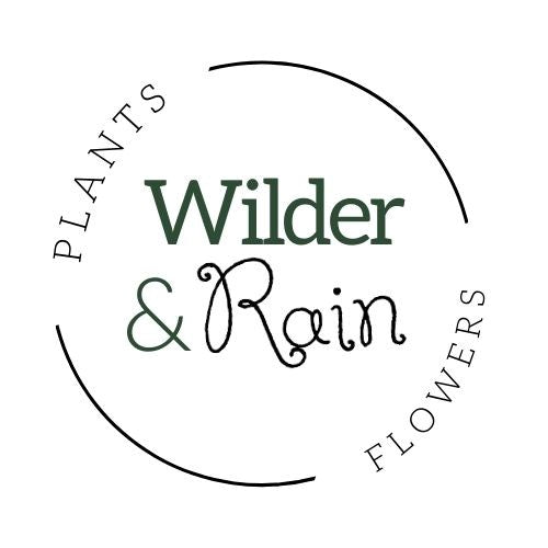 Wilder &amp; Rain Flowers