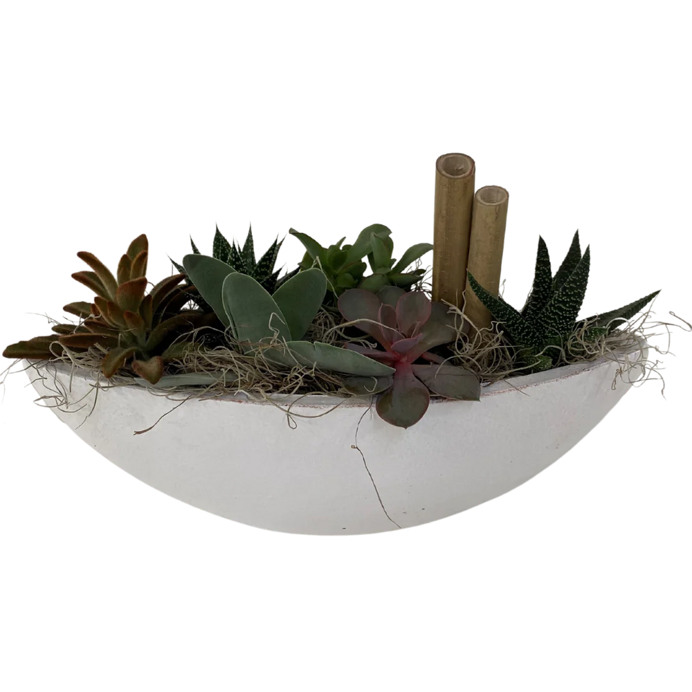 
            
                Load image into Gallery viewer, Giant Wooden Succulent Boat
            
        