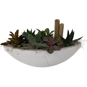 
            
                Load image into Gallery viewer, Giant Wooden Succulent Boat
            
        