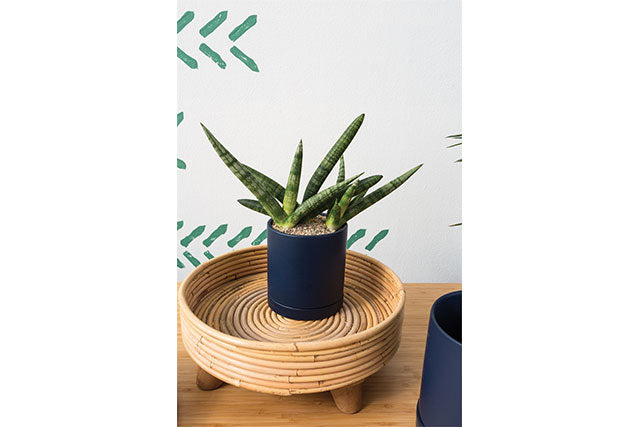 Romey Pot -  Dark Blue