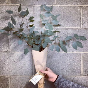 Eucalyptus Bunch - Wilder & Rain Flowers - Kincardine's florist