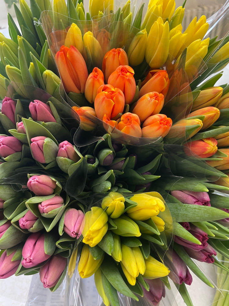 
            
                Load image into Gallery viewer, Fresh Tulip bunch - Wilder &amp;amp; Rain Flowers - Kincardine&amp;#39;s florist
            
        
