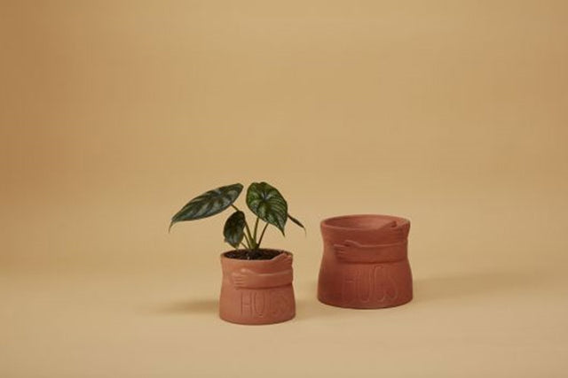 Big Hugs Pot