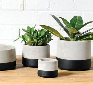 TWO TONE CONCRETE PLANTER