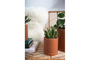 Romey Pot - Terracotta - Wilder & Rain Flowers - Kincardine's florist