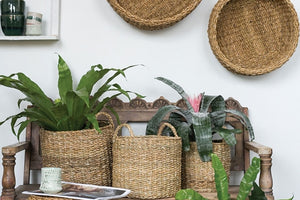 Hacienda basket set - Wilder & Rain Flowers - Kincardine's florist